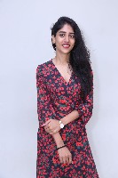 Chandini Chowdary at Sammathame Success Meet